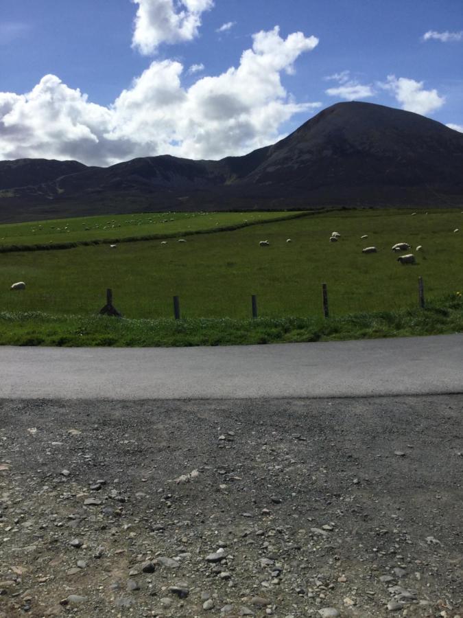Rose Cottage Westport Bagian luar foto